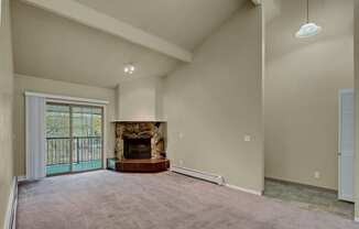 Ptarmigan Meadows Fireplace
