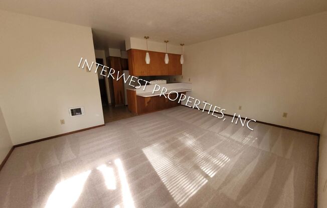 1 bed, 1 bath, 561 sqft, $1,250, Unit 004