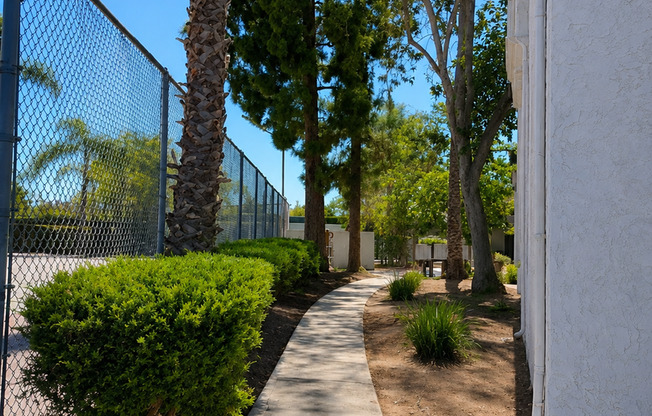 1 bed, 1 bath, 436 sqft, $1,795, Unit 24