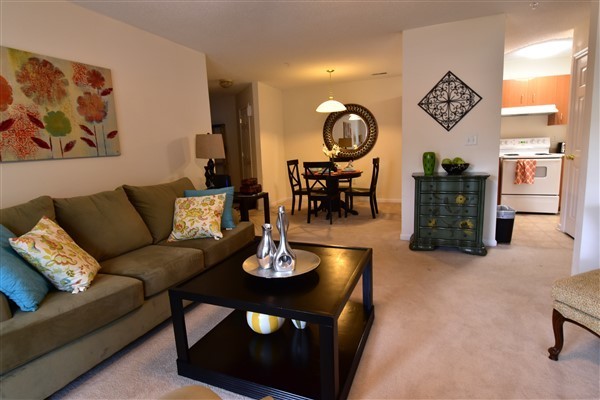 1 bed, 1 bath, 730 sqft, $1,150, Unit 915