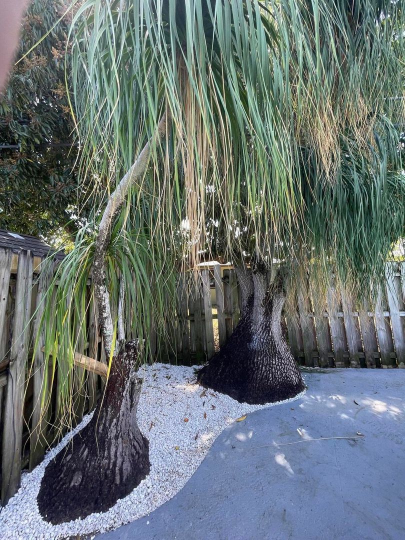 2620 NE 19TH ST #2620 POMPANO BEACH, FL 33062