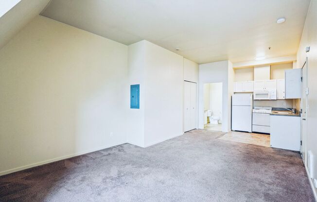 Studio, 1 bath, 438 sqft, $1,100, Unit 1005