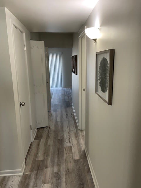 a hallway with wood floors and a painting on the wall