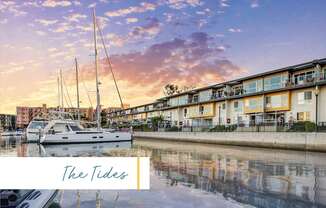A serene waterfront scene with boats docked and a building in the background at Marina Harbor, California, 90292