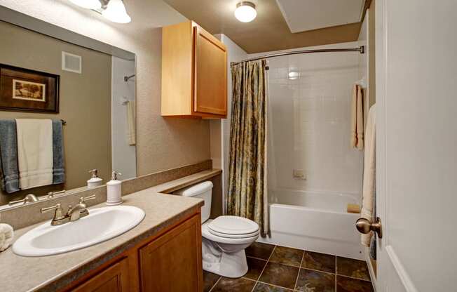 The Palms at Briarwood Bathroom