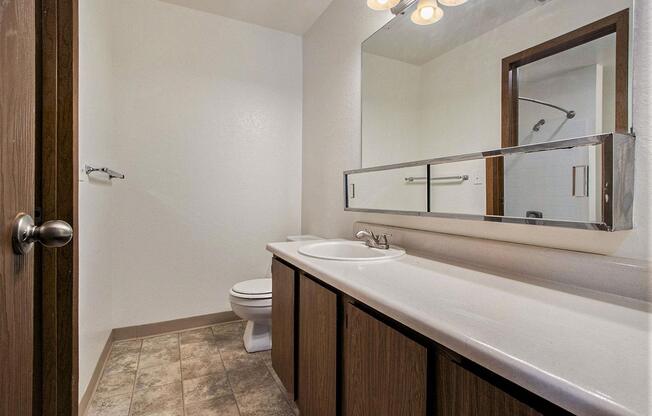 a bathroom with a sink and a toilet and a mirror