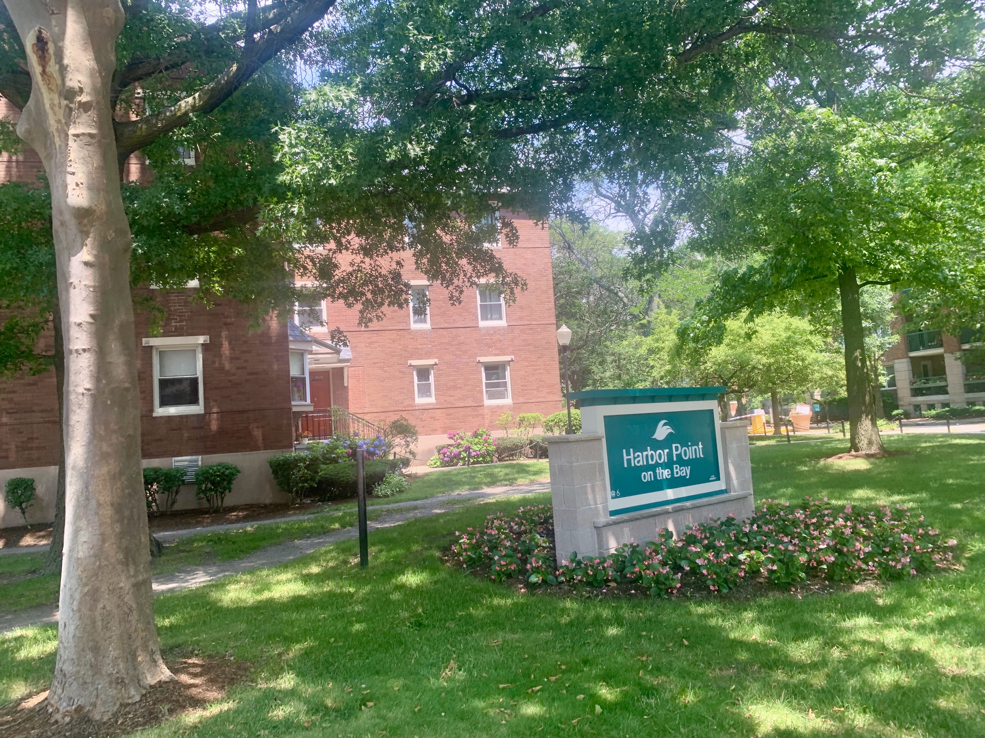 Harbor Point Apartments near UMass Boston