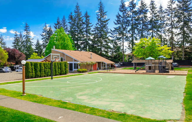 A basketball court is surrounded by a green lawn and trees.