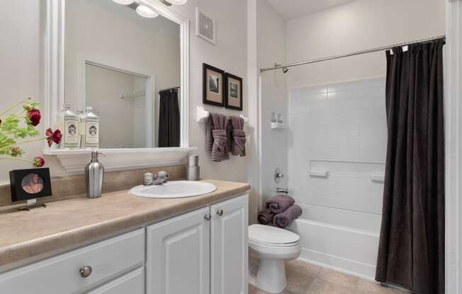 a bathroom with a sink and a toilet and a shower