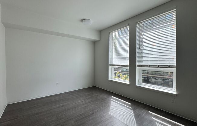 Studio, 1 bath, 317 sqft, $1,095, Unit 207