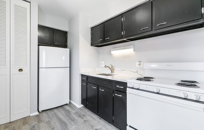 Studio, 1 bath, 387 sqft, $1,395, Unit 409