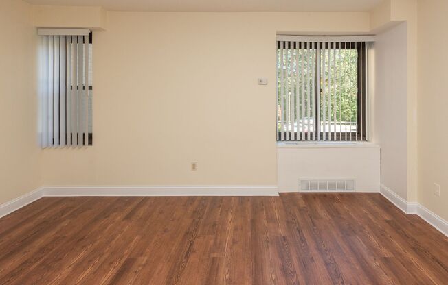 Studio, 1 bath, 368 sqft, $1,525, Unit 113