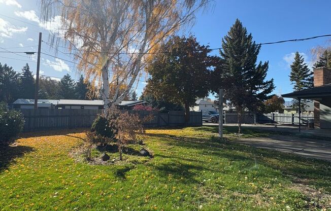 Expansive Updated Home with Creek Views & Prime Location