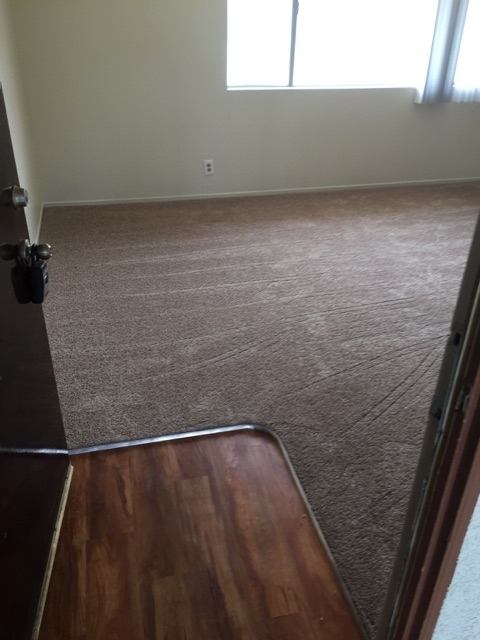 Cowan 10717-23 Western