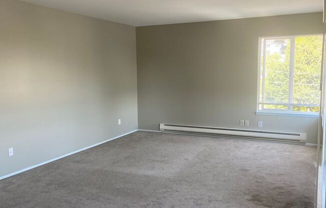 1 bed, 1 bath, 700 sqft, $1,550, Unit 302