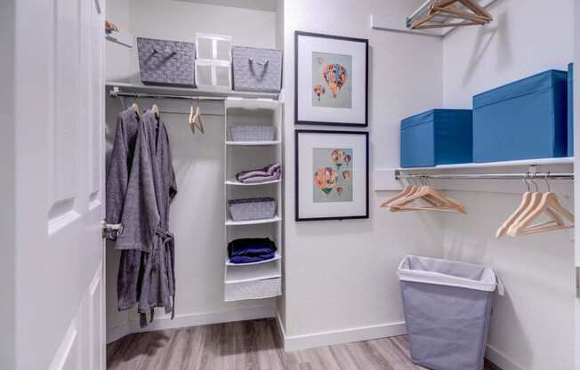 Park in Bellevue closet with hangers and robe