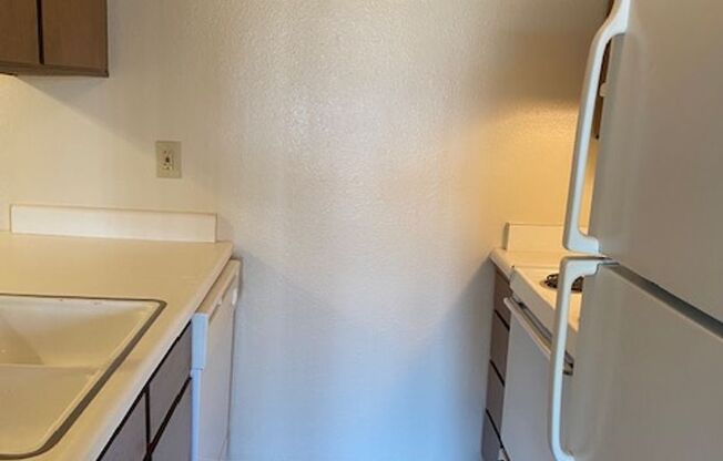 3900 El Potrero Ln. #5 - Apartment