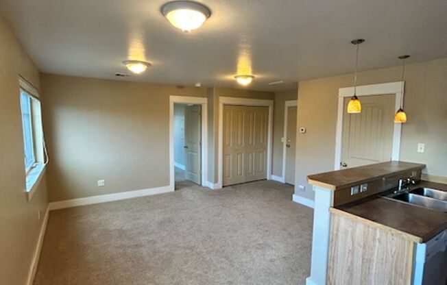 Centrally Located Large 1 Bedroom 1 Bathroom Apartment