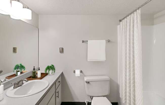 Oval Tub With Combo Shower at The Waverly, Michigan, 48111