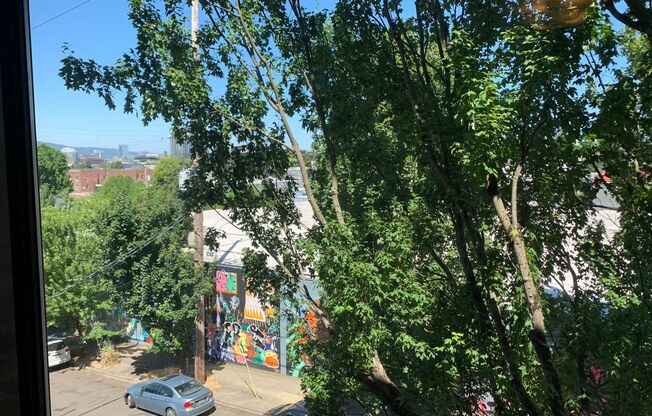 Studio, 1 bath, 450 sqft, $1,095, Unit 304