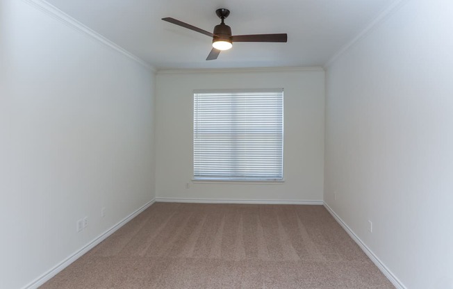 A room with a ceiling fan and carpeted floor.