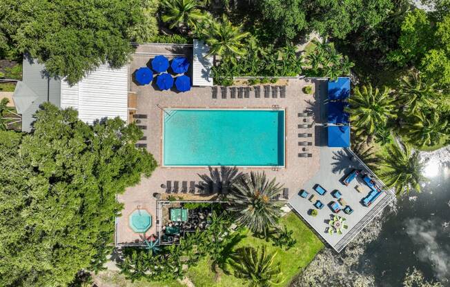 a yard with a pool and a house and palm trees