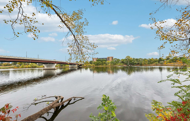 A serene lake with a bridge in the background and autumn leaves in the foreground.