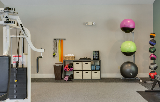 View of Fitness Center with Medicine Balls, Exercise Balls, and Cable Machines at Raveneaux Apartments
