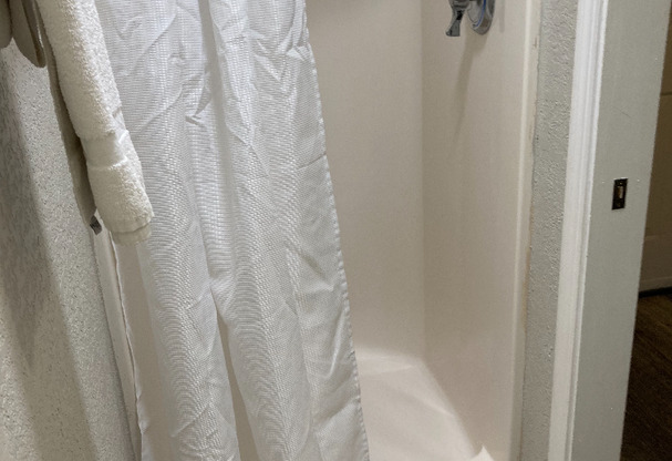 Studio, 1 bath, 450 sqft, $990, Unit 1818-315