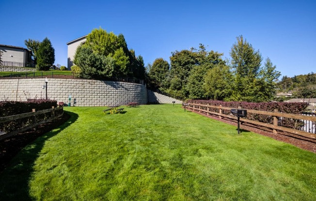 Picnic area with BBQ