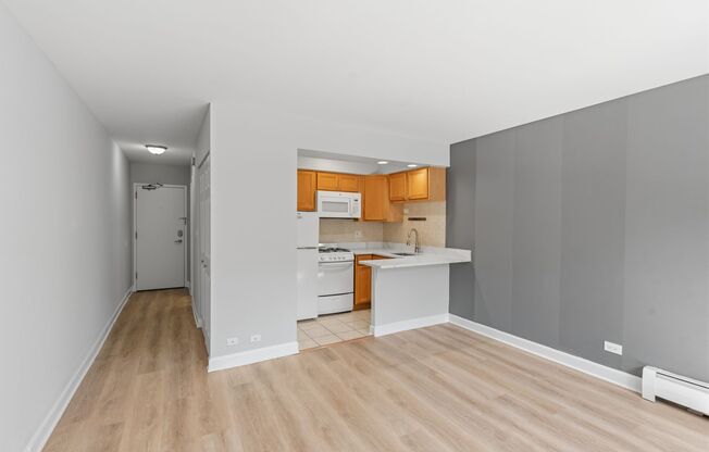 Studio, 1 bath, 298 sqft, $1,425, Unit 233