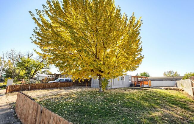 Cozy Home and Beautiful Spacious Yard