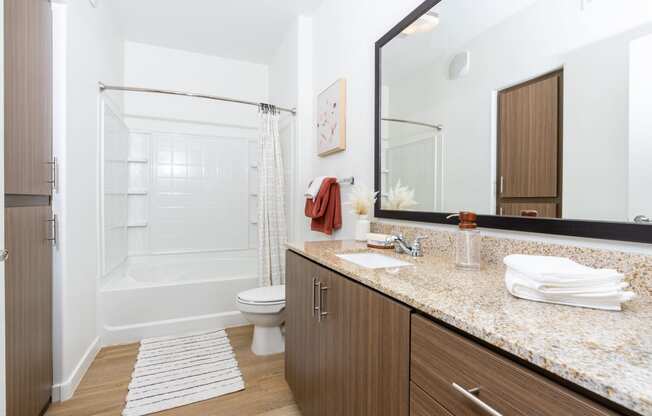 a bathroom with a shower toilet and sink and a mirror