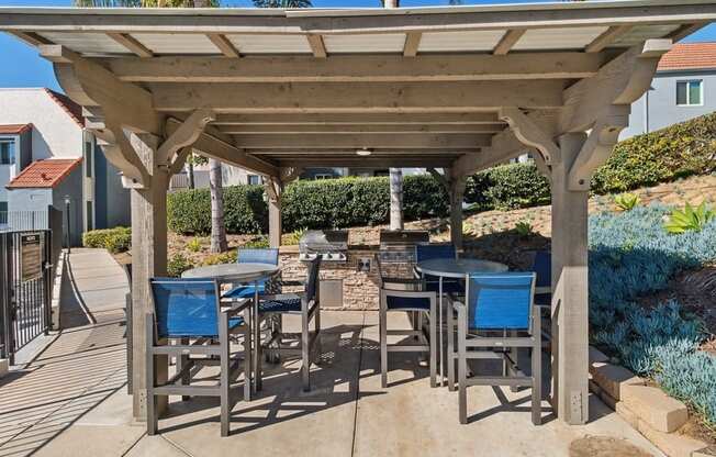 Outdoor BBQ Area at Canyon Villa Apartment Homes