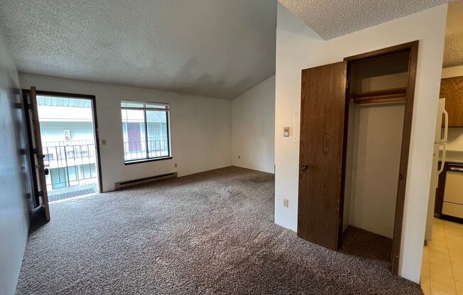 Darling 1 Bed, 1 Bath in North Spokane!