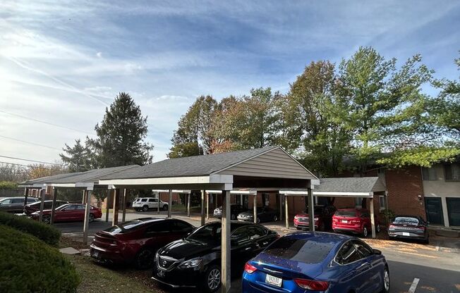 2 beds, 1 bath, 1,147 sqft, $950, Unit 411 - C BT