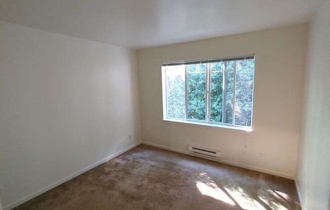 1 bed, 1 bath, $1,895