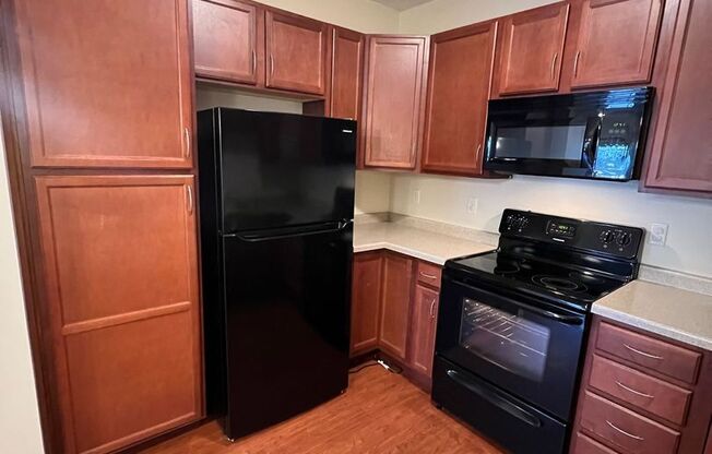1 bed, 1 bath, 735 sqft, $1,175, Unit 101