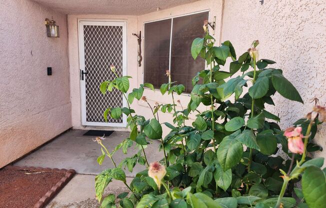 Charming Single-Story 3-Bedroom Home with Spacious Backyard