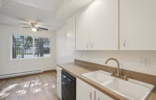 A kitchen with a sink, dishwasher, and a window.