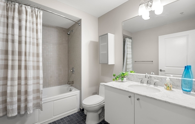 1 bed, 1 bath, 738 sqft, $3,800, Unit 206