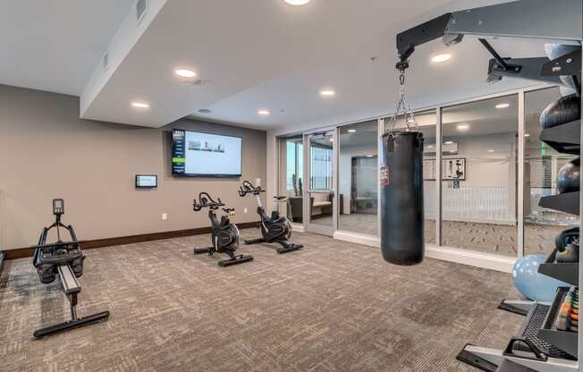 fitness center punching bag