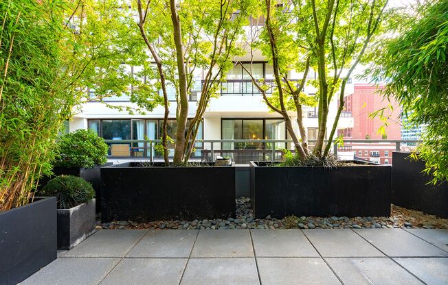1 bed, 1 bath, 650 sqft, $1,949, Unit 705