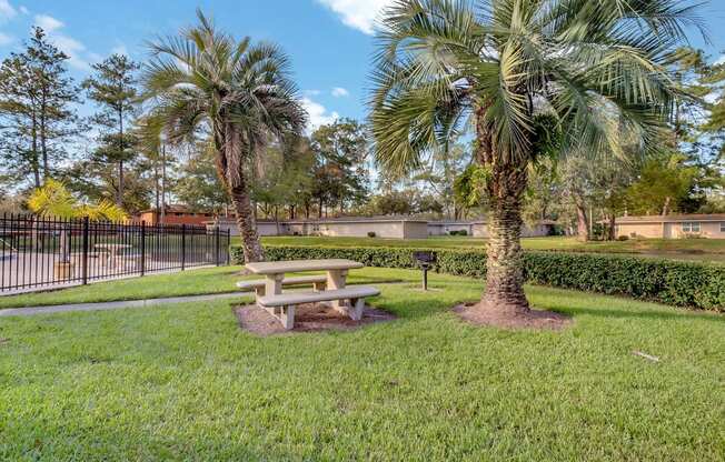 photo of a picnic table in a park with two palm trees