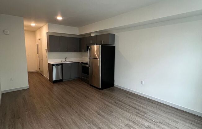 Studio, 1 bath, 306 sqft, $1,245, Unit 203