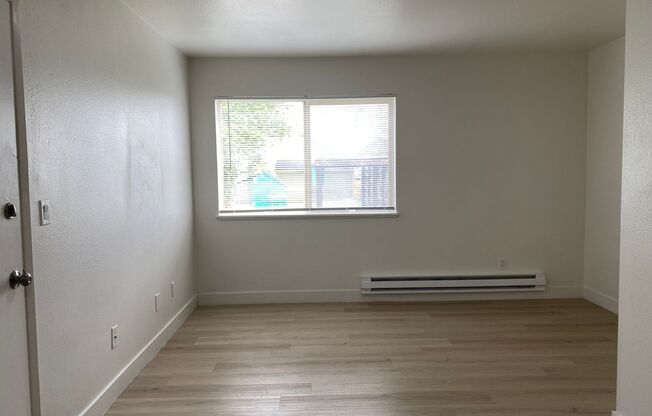 1 bed, 1 bath, 491 sqft, $1,075, Unit Unit 115