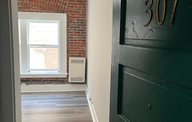 Studio, 1 bath, 380 sqft, $1,225, Unit 307