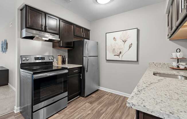 Spacious Kitchen  with stainless steel appliances and dark cabinets at Lakeside Village Apartments Clinton Township, MI