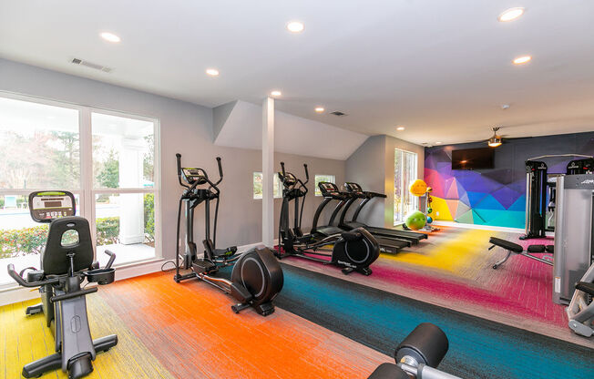 a gym with exercise equipment and a colorful rug