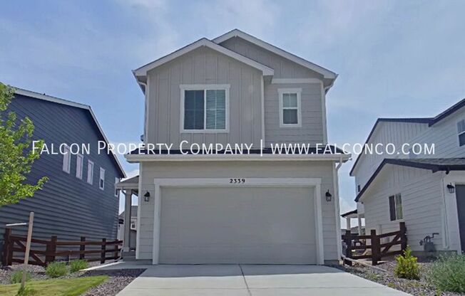 2339 INDIAN BALSAM DR
